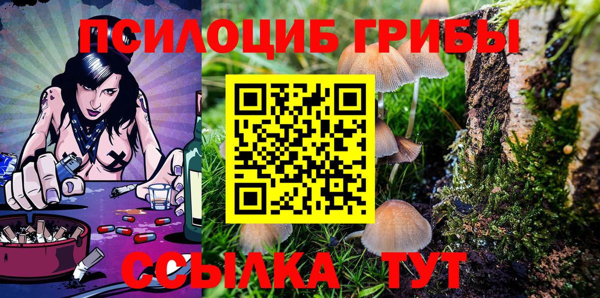 Псилоцибиновые грибы Magic Shrooms  Галлюциногенные грибы Psilocybe  Йошкар-Ола  Вход с VPN 